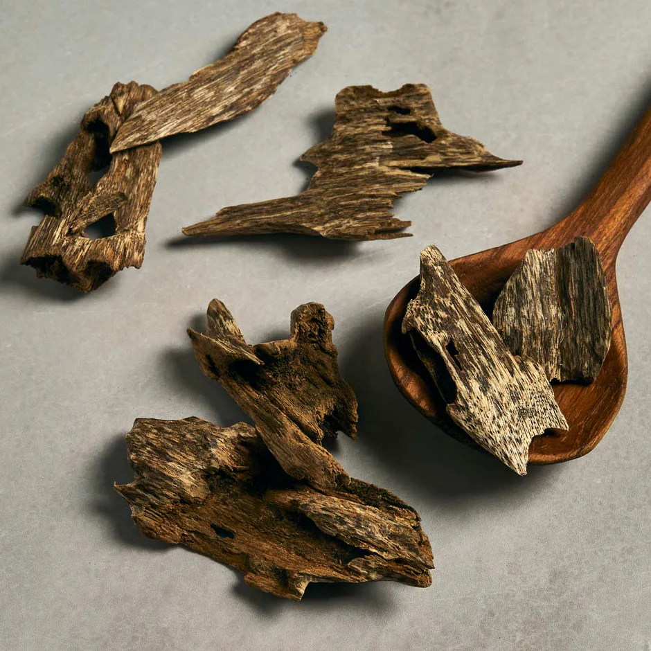 Grade AA+ Agarwood Oud Wood Chips – Natural Resin-Rich Aromatic Wood Pieces