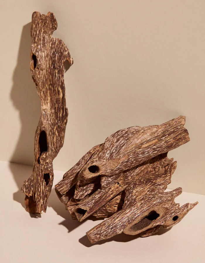 Natural Agarwood Oud Nuggets & Chips – Grade AA+ Resinous Aromatic Wood