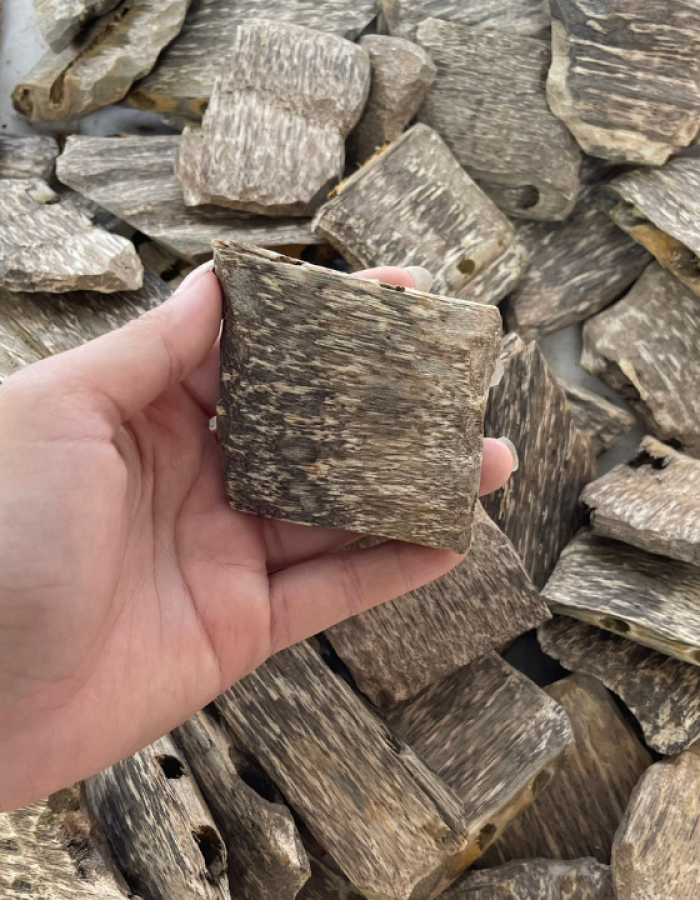 Premium Natural Agarwood Chips Grade AA+ – Aromatic Oud Wood Pieces